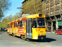 20 foto di 2800